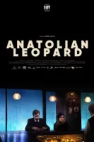 Анатолийский леопард смотреть онлайн (2021)