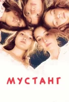 Мустанг смотреть онлайн (2015)