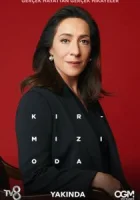 Красная комната смотреть онлайн сериал 1 сезон