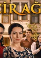 Фиговое дерево смотреть онлайн сериал 1 сезон