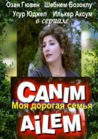 Дорогая моя семья смотреть онлайн сериал 1 сезон