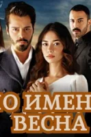 По имени Весна смотреть онлайн сериал 1 сезон